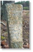 milestone